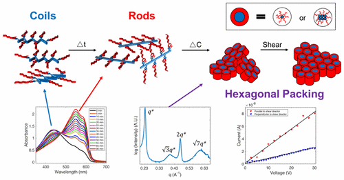 Multi-Scale Assembly of Polythiophene-Surfactant Supramolecular ...