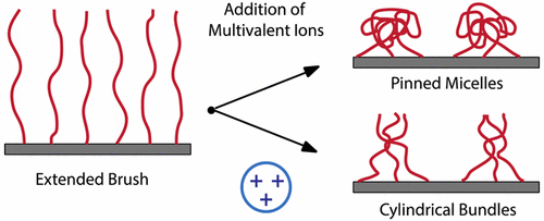 Lateral Structure Formation in Polyelectrolyte Brushes Induced by ...