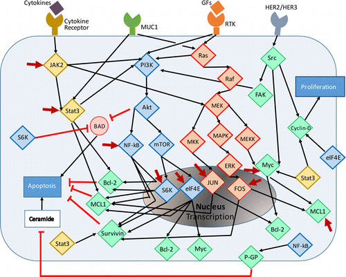 Single and Combinational siRNA Therapy of Cancer Cells: Probing Changes ...