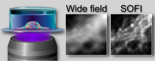 Super-Resolution Optical Fluctuation Bio-Imaging with Dual-Color Carbon ...