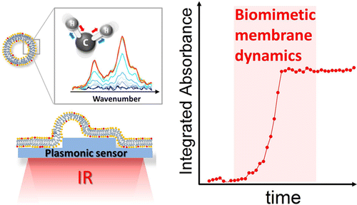 Infrared Plasmonic Biosensor For Real Time And Label Free Monitoring Of Lipid Membranes Nano