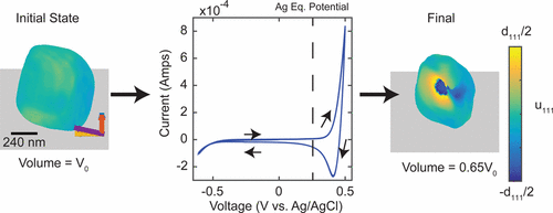 Stability Limits and Defect Dynamics in Ag Nanoparticles Probed by ...