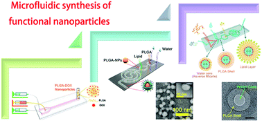 Microfluidics-mediated assembly of functional nanoparticles for cancer ...