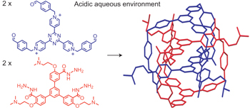 Quantitative self-assembly of a purely organic three-dimensional ...
