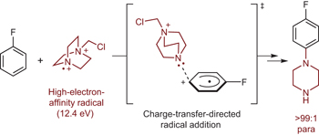 Charge-transfer-directed radical substitution enables para-selective C ...