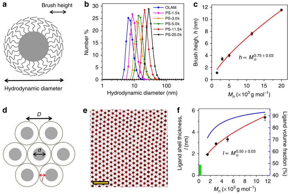 Structural Diversity In Binary Superlattices Self-assembled From ...