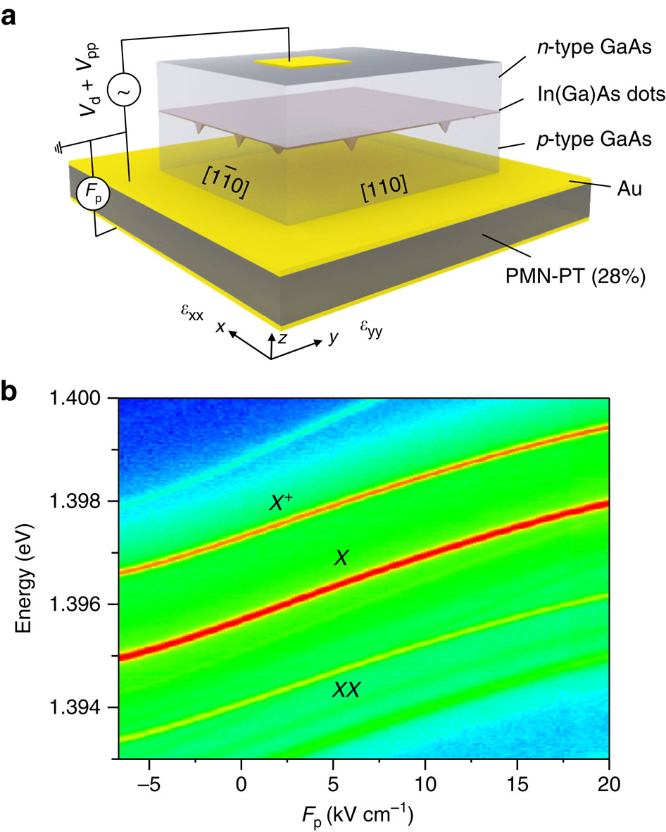 High yield and ultrafast sources of electrically triggered entangled