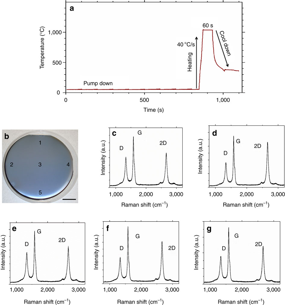 Metal-induced rapid transformation of diamond into single and ...