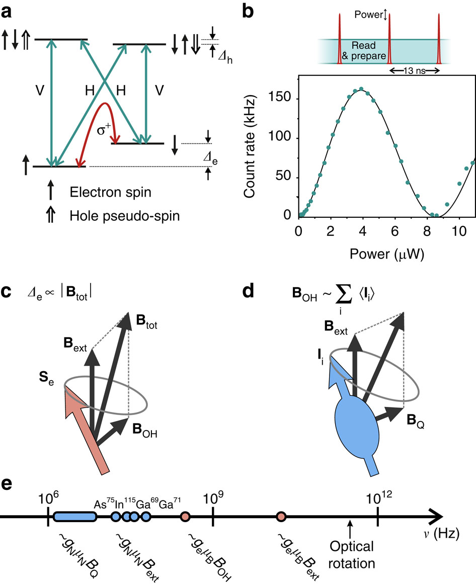 Quantum dot spin coherence governed by a strained nuclear environment ...