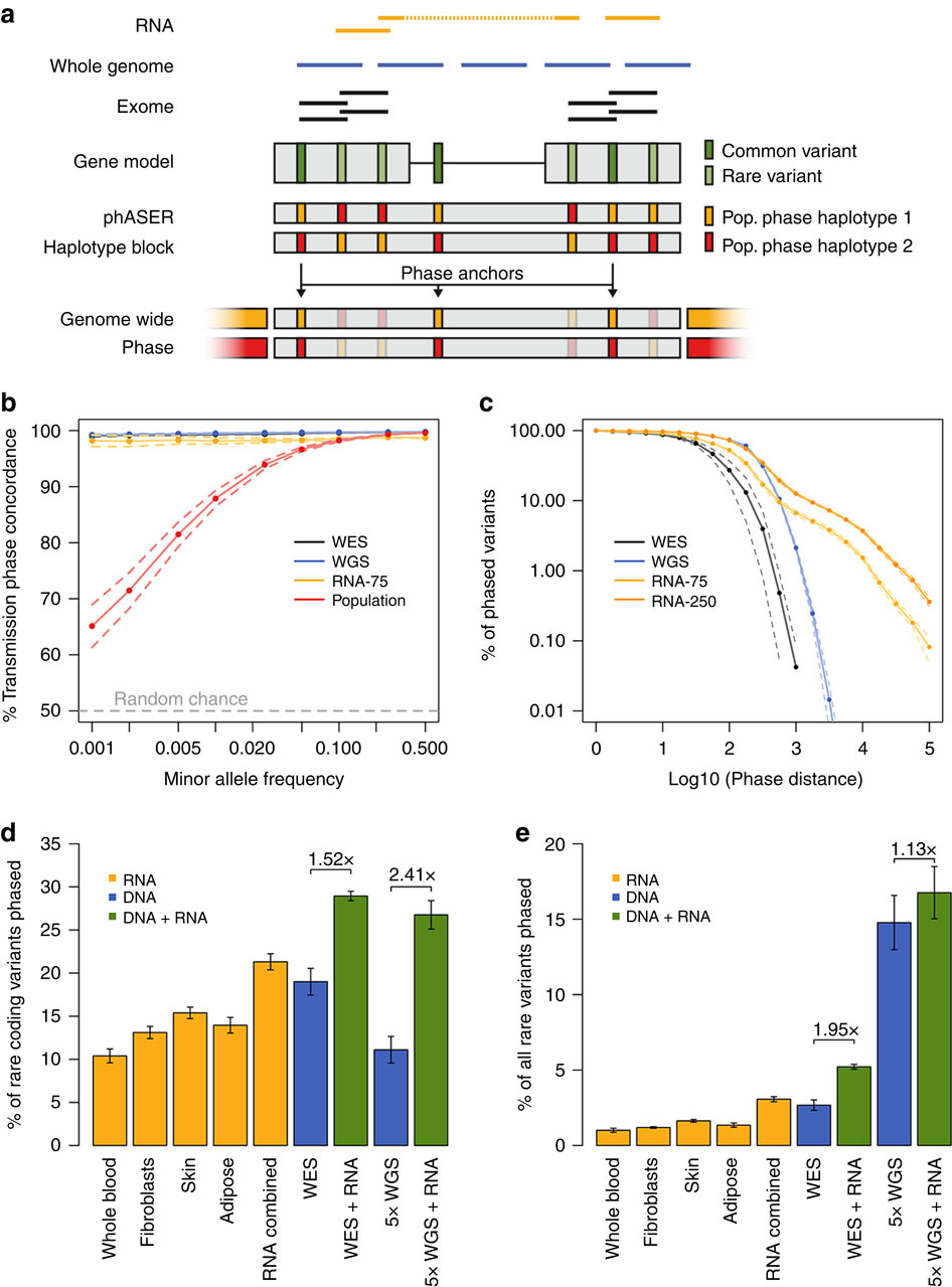 Rare variant phasing and haplotypic expression from RNA sequencing with ...
