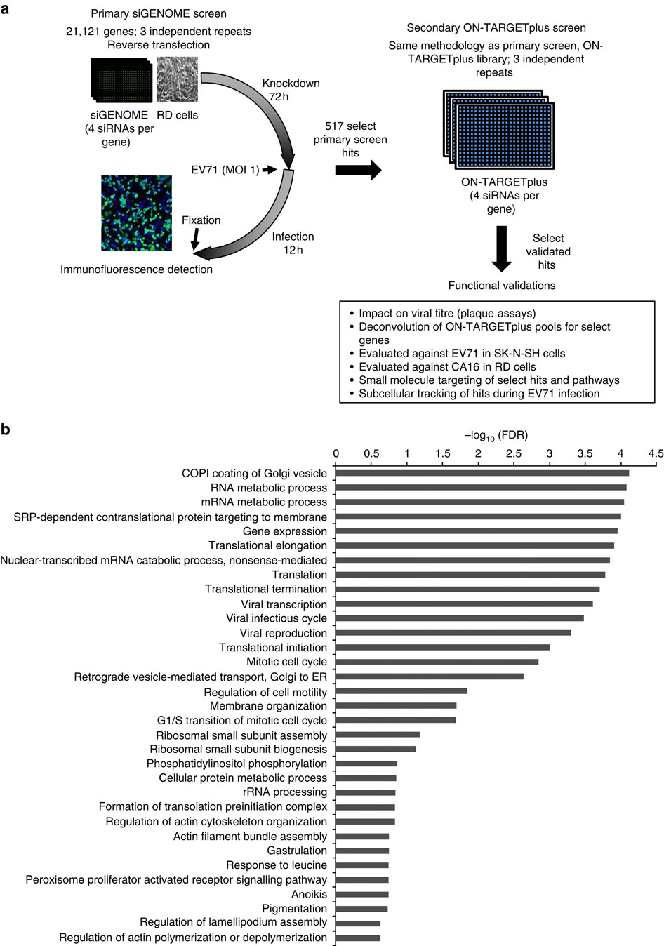 Human genome-wide RNAi screen reveals host factors required for ...