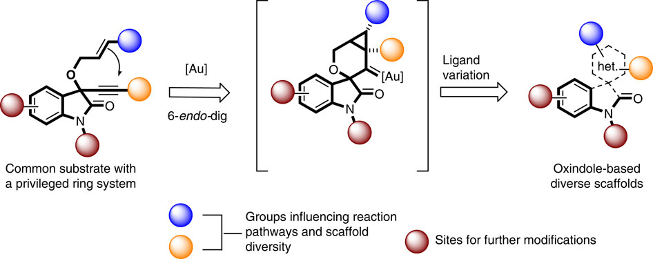 A ligand-directed divergent catalytic approach to establish structural ...