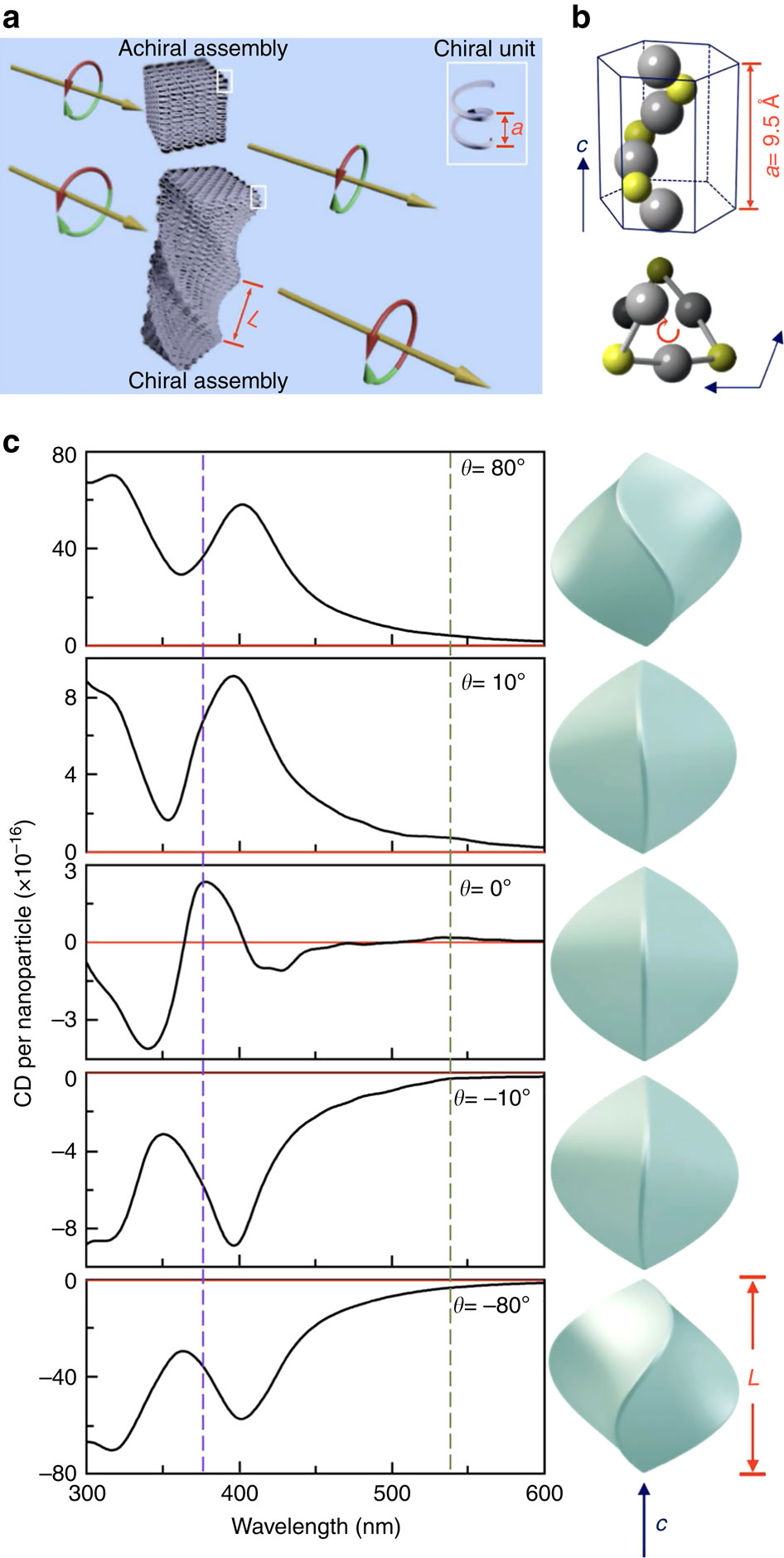 Cooperative expression of atomic chirality in inorganic nanostructures ...