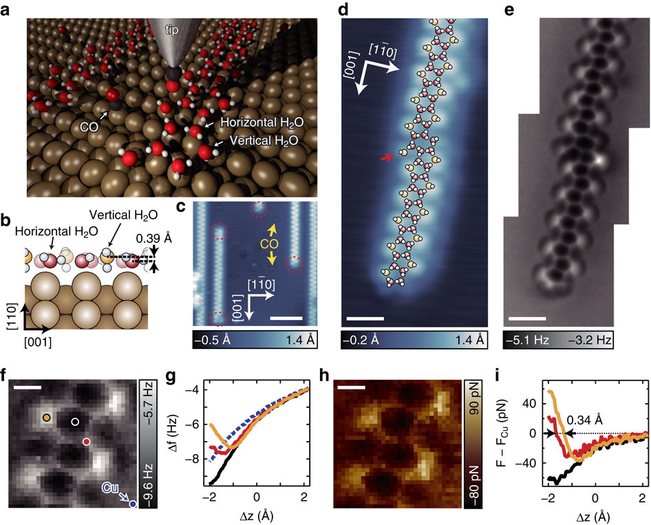 Ultrahigh resolution imaging of water networks by atomic force