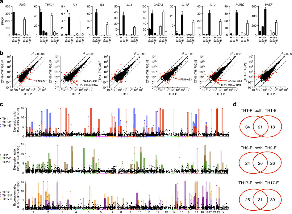 Expression and functions of long noncoding RNAs during human T helper ...