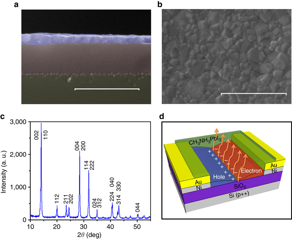 Lead iodide perovskite lightemitting fieldeffect transistor.,Nature