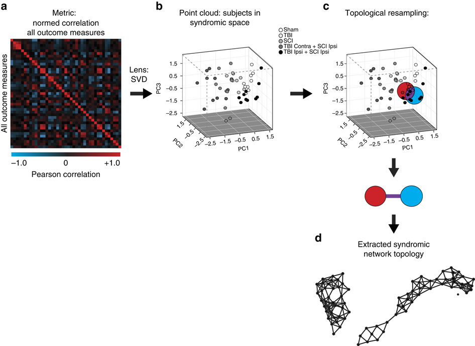 Topological data analysis for discovery in preclinical spinal cord ...