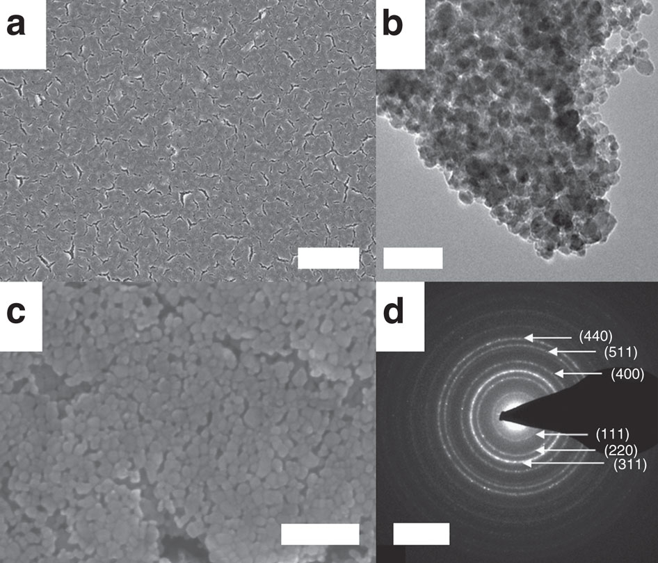 Reversible amorphization and the catalytically active state of ...