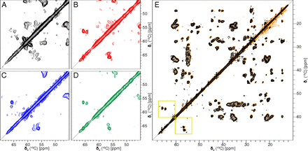 Atomic-resolution structure of a disease-relevant A{beta}(1-42) amyloid ...
