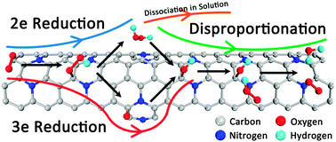 O2 and H2O2 transformation steps for the oxygen reduction reaction ...