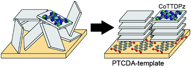 使用PTCDA模板在CoTTDPz薄膜中实现高度定向的分子排列并增强了磁性相互作用 † ,Physical Chemistry ...