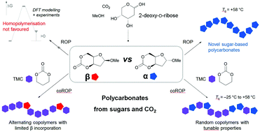 Polymers from sugars and CO2: ring-opening polymerisation and ...