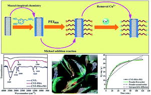 Mussel inspired functionalization of carbon nanotubes for heavy metal ...