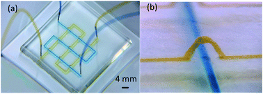 Fabrication of PDMS microfluidic devices with 3D wax jetting†,RSC ...