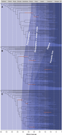 Comment on "Phylogenomics resolves the timing and pattern of insect ...