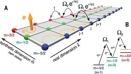 Observation of chiral edge states with neutral fermions in synthetic ...