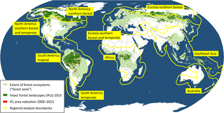 The last frontiers of wilderness: Tracking loss of intact forest ...