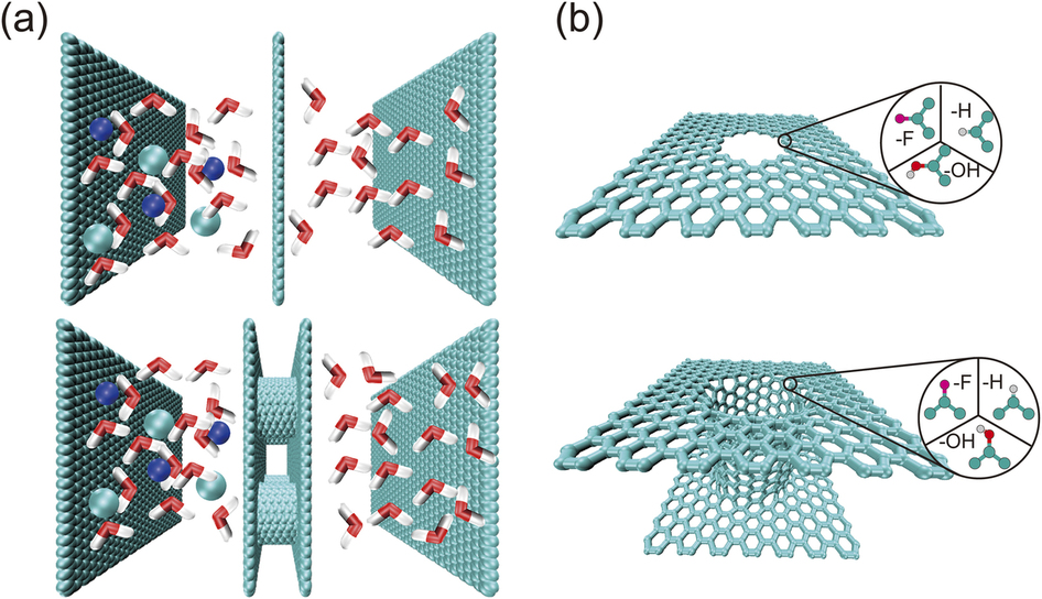 Ultimate osmosis engineered by the pore geometry and functionalization ...