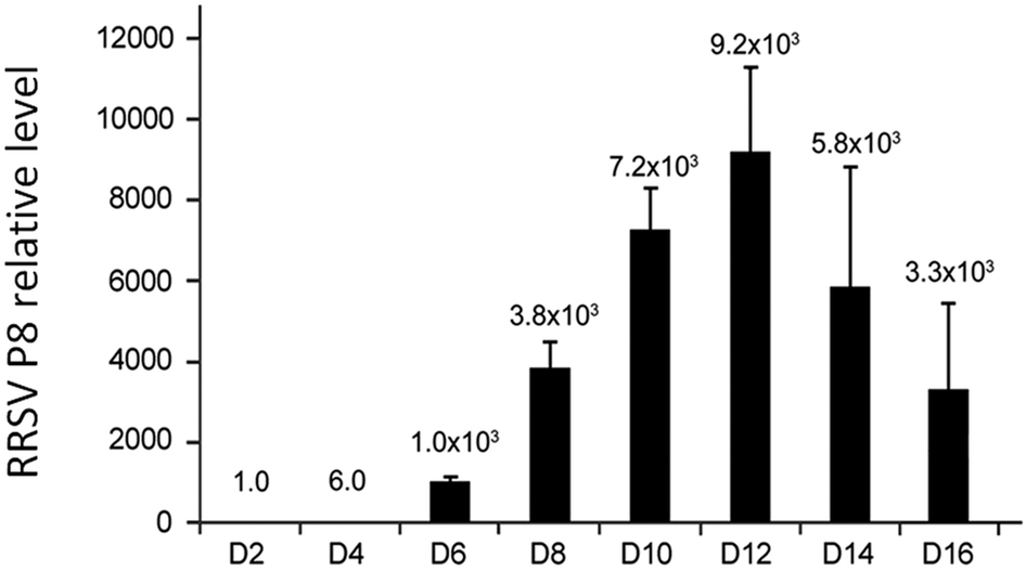 st Scientific Reports X MOL st-scientific-reports-x-mol