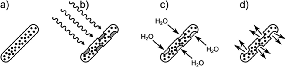 A SPION-eicosane protective coating for water soluble capsules ...