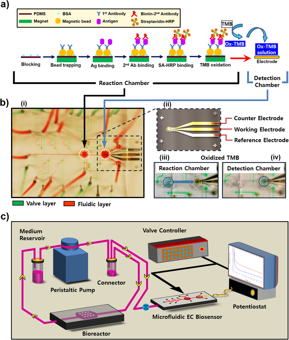 Automated microfluidic platform of bead-based electrochemical ...
