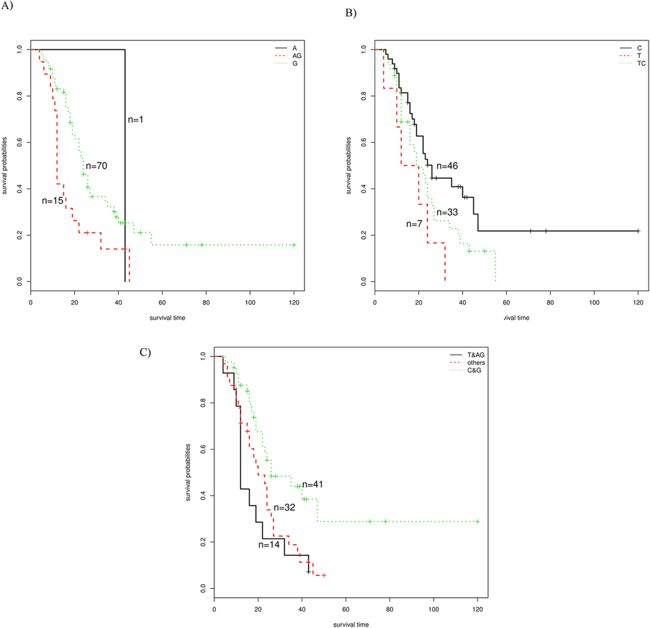 The study of the relation of DNA repair pathway genes SNPs and the ...