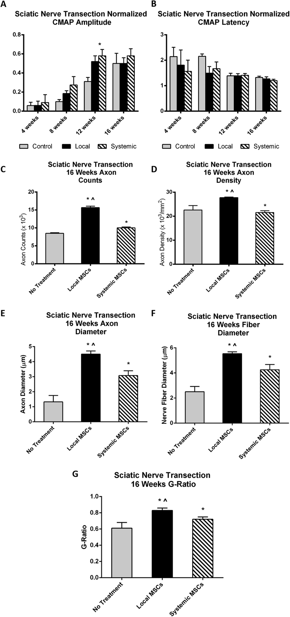 Mesenchymal Stem Cells Enhance Nerve Regeneration In A Rat Sciatic mesenchymal-stem-cells-enhance-nerve-regeneration-in-a-rat-sciatic