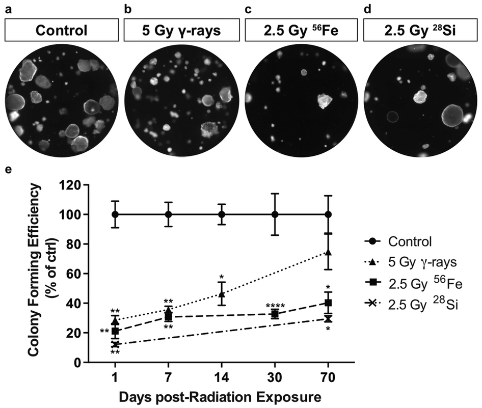 Distal airway epithelial progenitor cells are radiosensitive to High ...