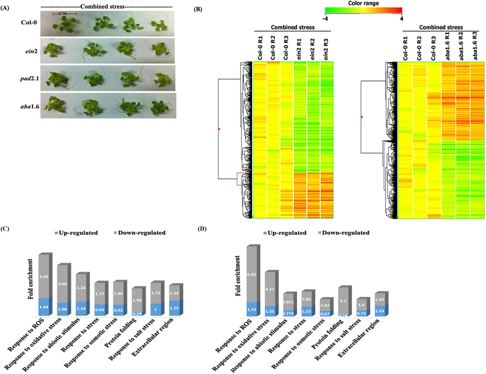 Transcriptome analysis of Arabidopsis mutants suggests a crosstalk ...