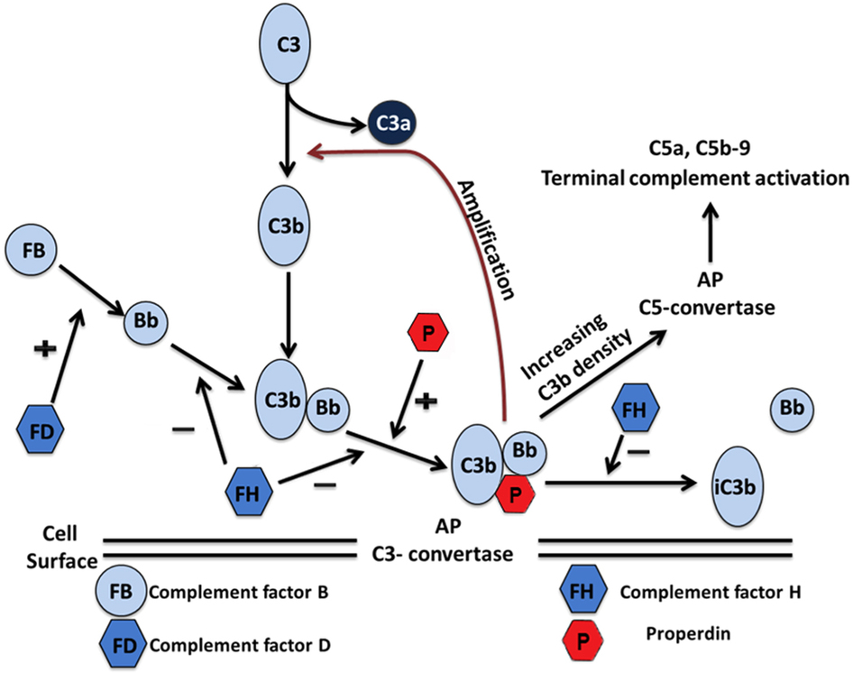 scientific reports x mol