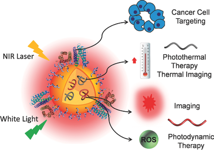 Multifunctional Conjugated Polymer Nanoparticles For Image‐Guided ...