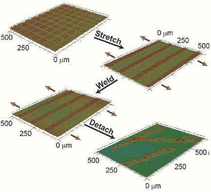 Stretchable Substrates for the Assembly of Polymeric Microstructures ...