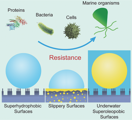 Designing Bioinspired Anti‐Biofouling Surfaces Based On A ...