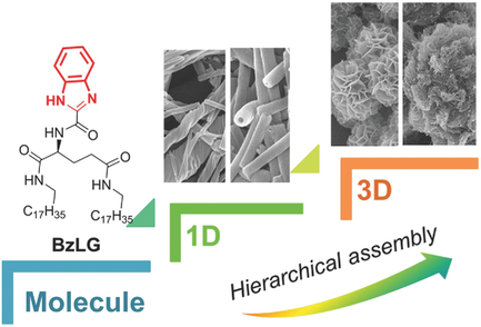 Self‐Assembly Of Hierarchical Chiral Nanostructures Based On Metal ...