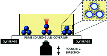 Optically assembled droplet interface bilayer (OptiDIB) networks from ...