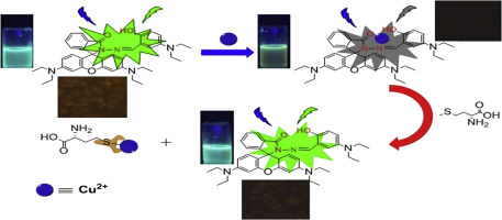 New fluorescent probe based on rhodamine derivative for detection of ...