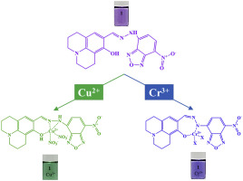 Simultaneous Detection Of Cu2+ And Cr3+ By A Simple Schiff-base ...