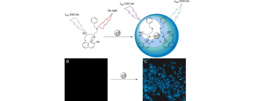 A Schiff base fluorescence probe for highly selective turn-on ...