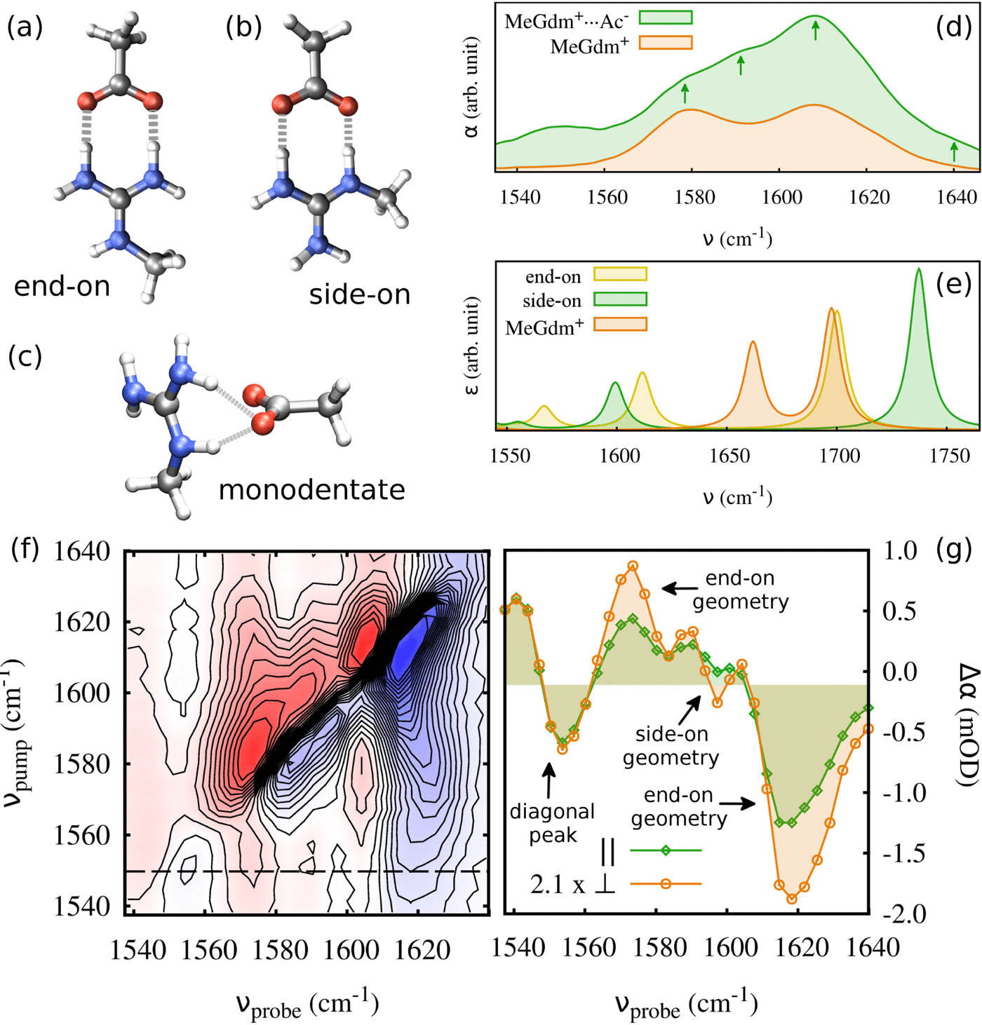 Arg The structure of salt bridges between Arg+ and Glu− in peptides ...