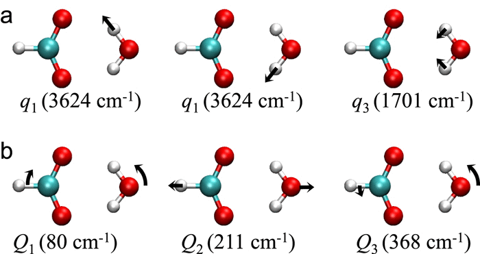 Nonadiabatic vibrational dynamics in the HCO2−⋅H2O complex,The Journal ...